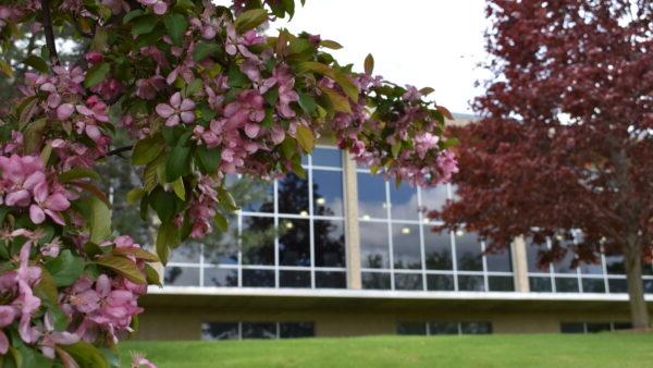 A building with windows and trees